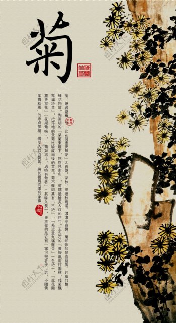 中国风绘画装饰菊花