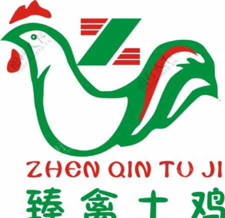 家禽LOGO设计稿