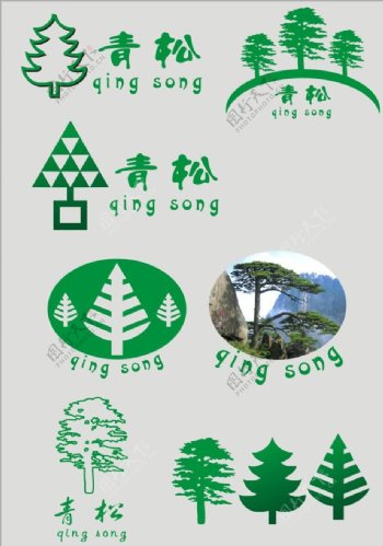关于松树的标志