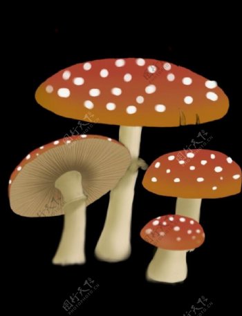手绘森系蘑菇