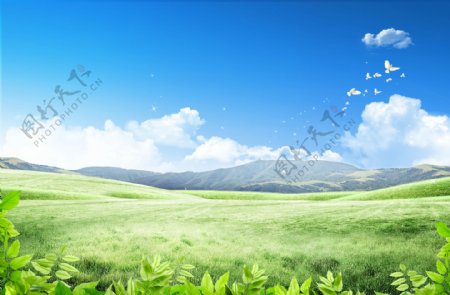 春季蓝天草地背景图