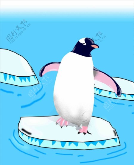 站在冰块上的企鹅