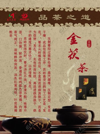 安化黑茶茶文化