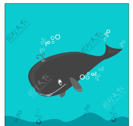 可爱鲸鱼