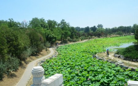 圆明园风景