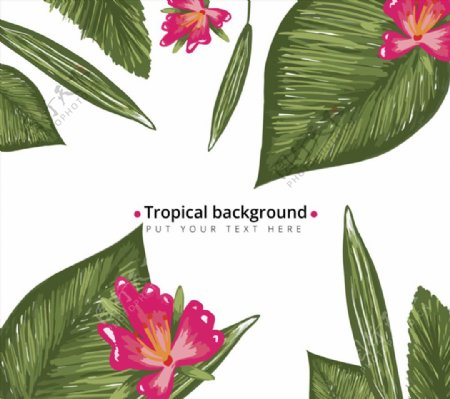 彩绘热带植物花卉背景矢量素材