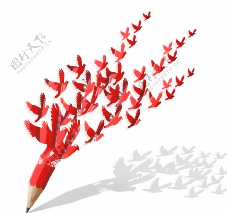 铅笔与飞鸟