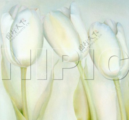 花卉油画6614060厘米X60厘米