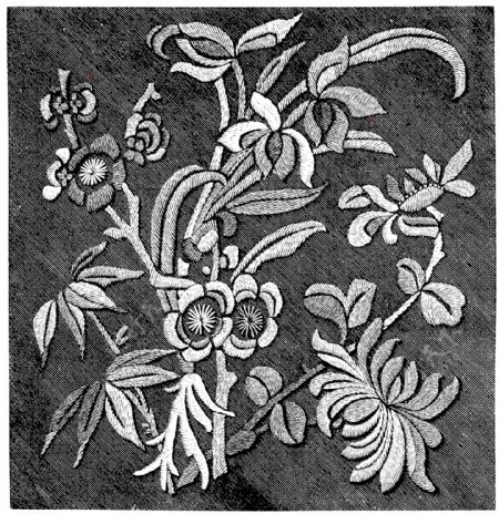 黑白花边植物纹样线条
