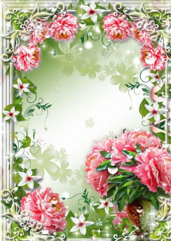 花卉背景相框框架