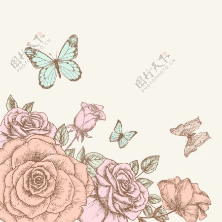 手绘玫瑰与蝴蝶设计矢量素材