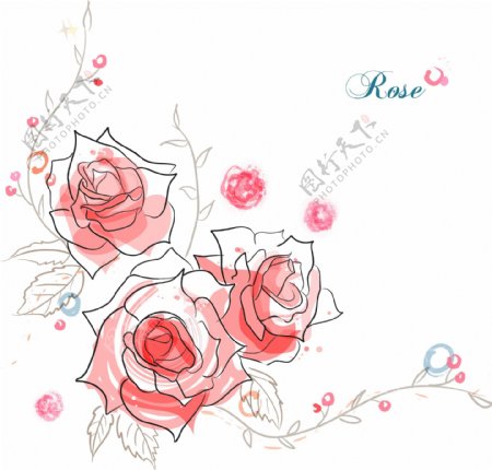 手绘矢量玫瑰花线条花朵
