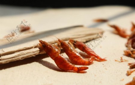 麻虾