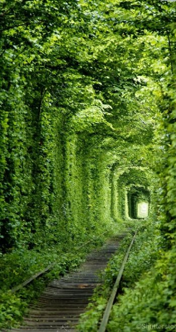 乌克兰浪漫绿色通道