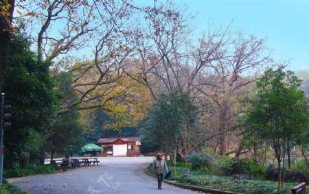 南京灵谷寺风景