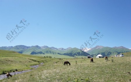 新疆喀纳斯