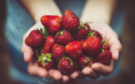 手心里的红草莓