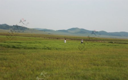 乌兰布统草原