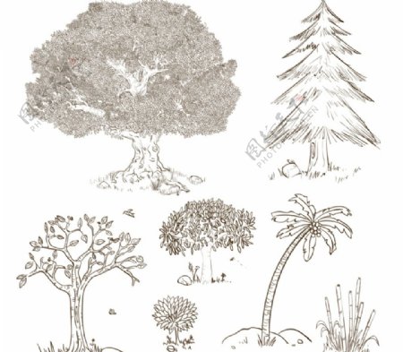 手绘树木设计矢量素材
