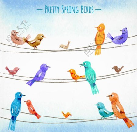 手绘水彩春季电线上的小鸟