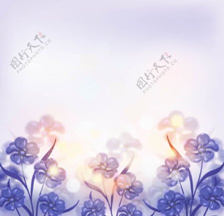 春季蓝色花卉朦胧背景
