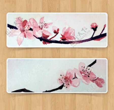 两款手绘水彩樱花横幅