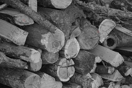 自然森林农村壁炉黑色和白色原木供暖木砍
