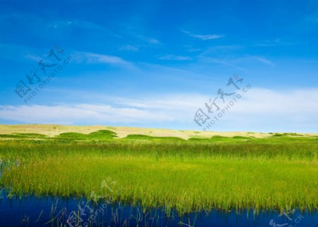 美丽大草原风景图片