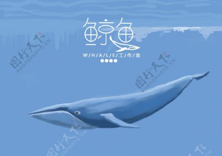 手绘简约风鲸鱼字体设计