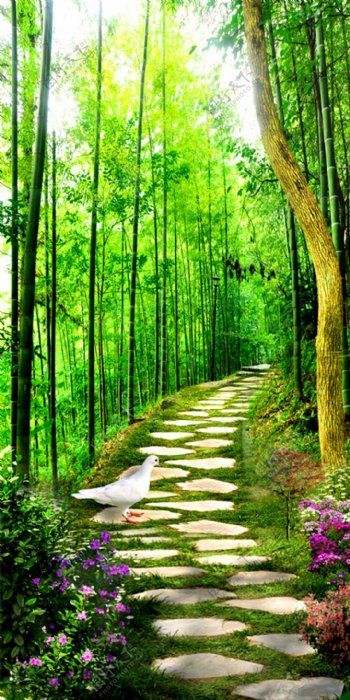 竹林小路风景图片