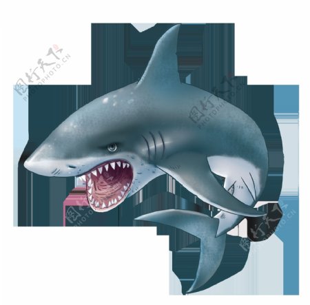 手绘凶恶的大鲨鱼免抠png透明图层素材