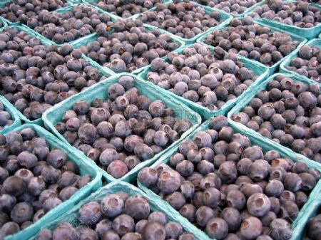 农民市场蓝莓