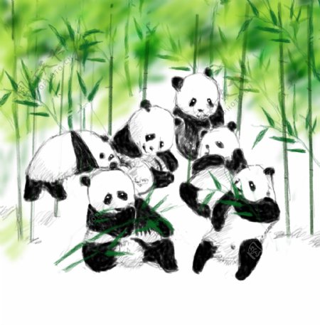 熊猫手绘