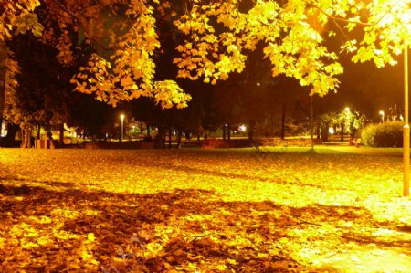 秋天傍晚美景图片