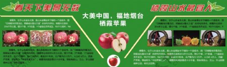 栖霞苹果宣传展板