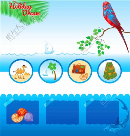 海洋生物鹦鹉展板图片