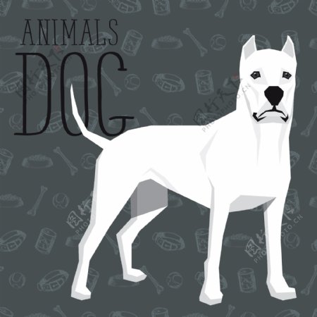 白色卡通狗狗宠物展示矢量素材