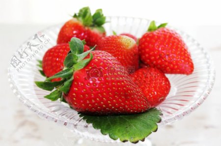 装在盘子里的新鲜草莓
