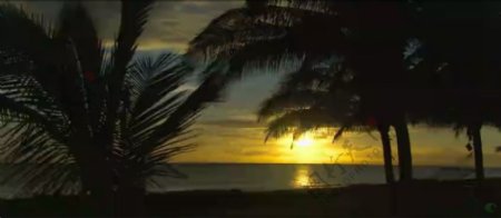 夕阳海岸椰树自然风光美景高清实拍视频素材