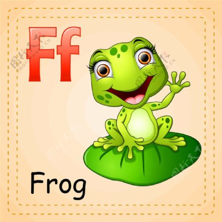 青蛙英语单词图片