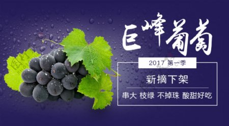 巨峰葡萄网页banner