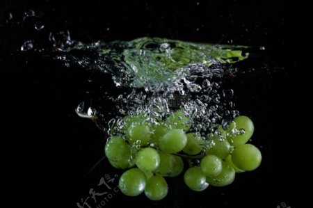 正在掉落水中的葡萄