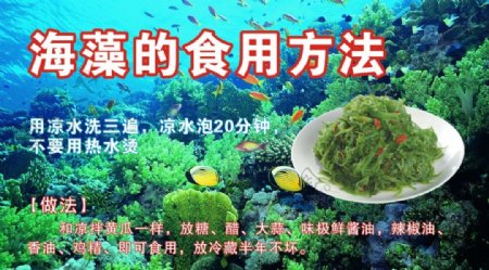 海藻的食用方法