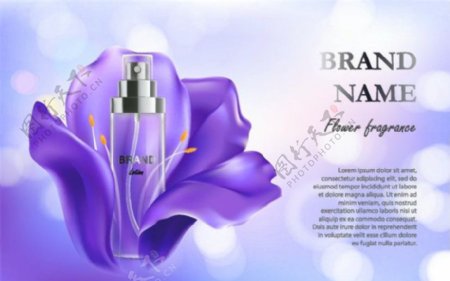 紫色花朵化妆品海报图片