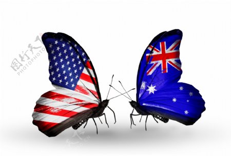 美国澳大利亚国旗蝴蝶图片