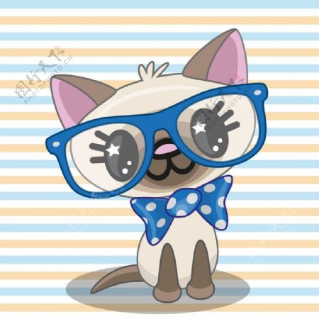 眼镜小猫图片