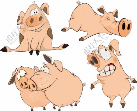 卡通可爱小猪矢量素材下载