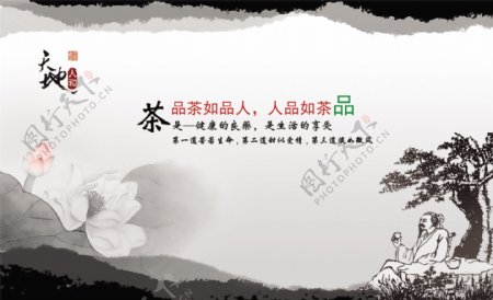 茶广告banner