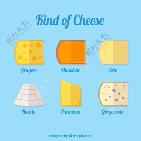 扁平化奶酪设计矢量