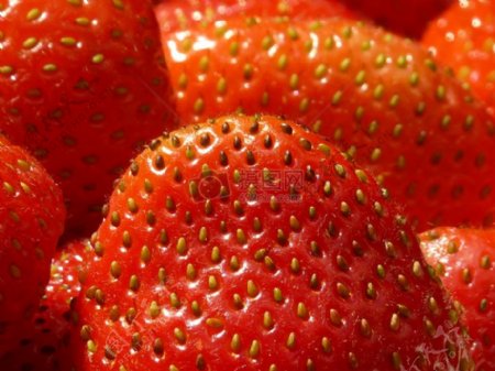 健康食品草莓